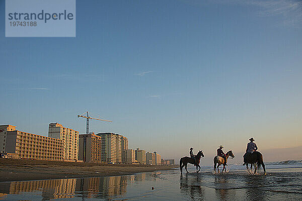 Drei Cowboys reiten bei Sonnenaufgang auf ihren Pferden am Virginia Beach im First Landing State Park  Virginia  USA; Virginia Beach  Virginia  Vereinigte Staaten von Amerika