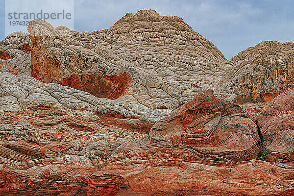 Nahaufnahme von Navajo-Sandsteinfelsformationen  die als Brain Rocks bezeichnet werden  unter bewölktem Himmel in der wundersamen Gegend von White Pocket mit seinen fremdartigen Landschaften aus erstaunlichen Linien  Konturen und Formen; Arizona  Vereinigte Staaten von Amerika