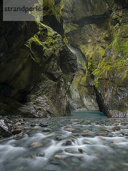 Forest Creek im Mount Aspiring National Park.; Haast  Südinsel  Neuseeland