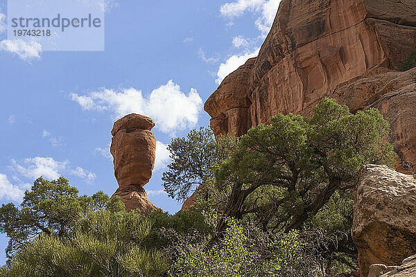 Landschaft des Colorado National Monument in der Nähe von Grand Junction  Colorado. Es ist ein erstaunlicher Ort aus rotem Gestein und ein schönes Beispiel für die Erosion am Werk; Colorado  Vereinigte Staaten von Amerika