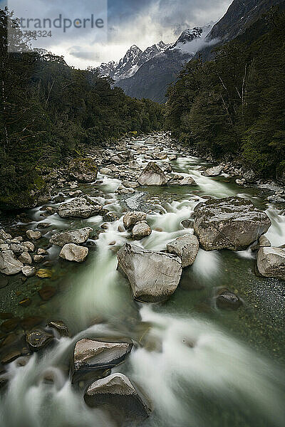 Tutoko-Fluss  umgeben von Bäumen und Bergen; Milford Sound  Südinsel  Neuseeland