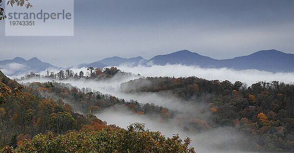 Wolken füllen ein Gebirgstal voller Herbstfarben entlang des Blue Ridge Pkwy in den Blue Ridge Mountains. Weaverville  North Carolina  Vereinigte Staaten von Amerika