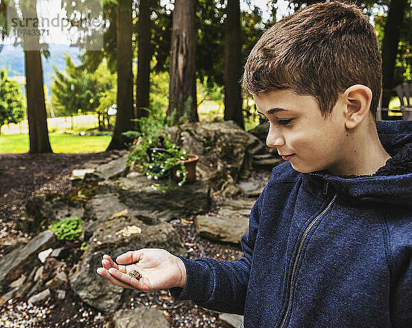 Nahaufnahmeporträt eines kleinen Jungen  der im Urlaub einen kleinen Frosch in der Hand hält; Sicamous  British Columbia  Kanada