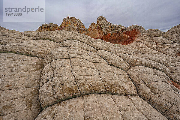 Blick auf geometrische Muster auf felsigen Hügeln  die als Brain Rocks bezeichnet werden  vor einem bewölkten Himmel  der Teil der fremden Landschaft aus erstaunlichen Linien  Konturen und Formen in der wundersamen Gegend namens White Pocket in Arizona ist; Arizona  Vereinigte Staaten von Amerika