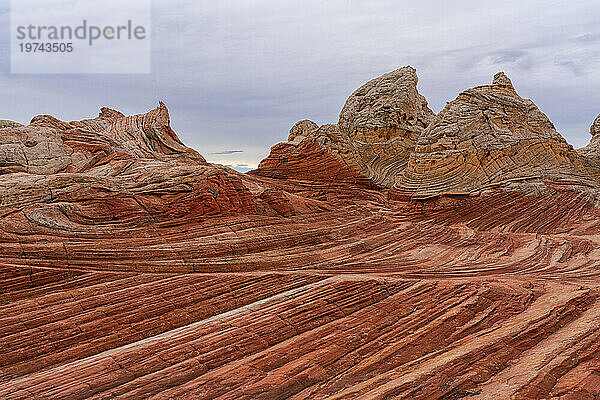 Blick auf den erodierten Navajo-Sandstein  der rote Felsformationen mit geriffelten  wirbelnden Mustern bildet und fremde Landschaften mit erstaunlichen Linien  Konturen und Formen in der wundersamen Gegend von White Rock bildet; Arizona  Vereinigte Staaten von Amerika