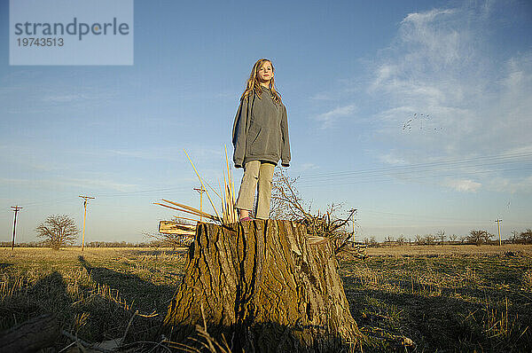 Mädchen steht auf einem großen Baumstumpf im Sonnenlicht auf dem Land und blickt in die Kamera; Kearney  Nebraska  Vereinigte Staaten von Amerika