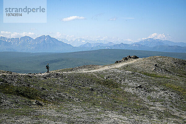 Blick von hinten auf eine Naturwandererin auf dem Savage Alpine Trail mit Wanderstöcken mit Blick auf den Mt. Denali im Hintergrund; Denali-Nationalpark  Alaska  Vereinigte Staaten von Amerika