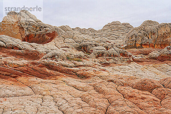 Riesige Navajo-Sandsteinfelsformationen  die als Brain Rocks bezeichnet werden  unter einem bewölkten Himmel in der wundersamen Gegend von White Pocket mit ihren fremdartigen Landschaften aus erstaunlichen Linien  Konturen und Formen; Arizona  Vereinigte Staaten von Amerika