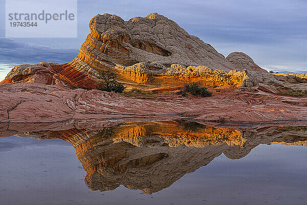 Malerische Aussicht auf die Felsformation aus Navajo-Stein  bekannt als „The Lollipop“  die sich bei Sonnenuntergang in einem Teich in der wundersamen Gegend von White Pocket spiegelt  wo erstaunliche Linien  Konturen und Formen fremdartige Landschaften schaffen; Arizona  Vereinigte Staaten von Amerika