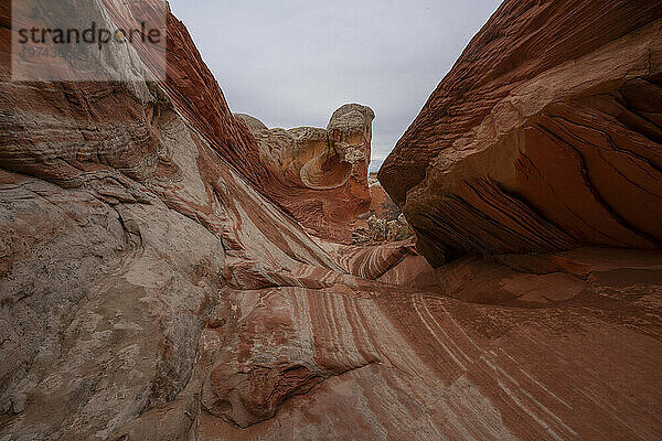 Blick durch schlangenartige Felsmuster und hügelige Felsformationen unter bewölktem Himmel  die Teil der fremden Landschaft mit erstaunlichen Linien  Konturen und Formen in der wundersamen Gegend namens White Pocket in Arizona sind; Arizona  Vereinigte Staaten von Amerika