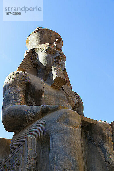 Nahaufnahme der Statue von Ramses II. vor blauem Himmel vor dem altägyptischen Tempel; Luxor  Ägypten