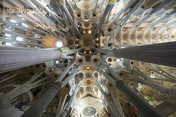 Teil des Deckengewölbes der Kathedrale Sagrada Familia; Barcelona  ??Spanien