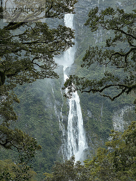 Sutherland Falls  der dritthöchste Wasserfall der Welt  stürzt entlang des Milford Track auf der Südinsel Neuseelands 580 Meter in die Tiefe. Milford Sound  Südinsel  Neuseeland