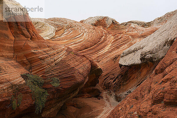 Malerische Aussicht auf Felsformationen und steile Klippen mit wirbelnden Mustern unter einem bewölkten Himmel  die Teil der fremden Landschaft mit erstaunlichen Linien  Konturen und Formen in der wundersamen Gegend namens White Pocket in Arizona sind; Arizona  Vereinigte Staaten von Amerika