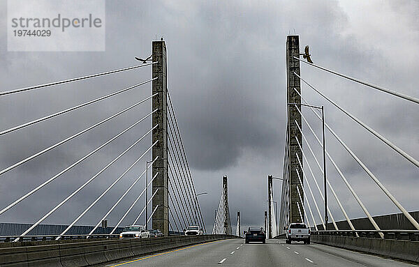 Autos fahren an einem grauen  wolkigen Tag über die Golden Ears Bridge; Pitt Meadows  British Columbia  Kanada