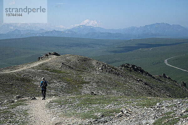 Blick von hinten auf eine Naturwandererin auf dem Savage Alpine Trail mit Wanderstöcken mit Blick auf den Mt. Denali im Hintergrund; Denali-Nationalpark  Alaska  Vereinigte Staaten von Amerika