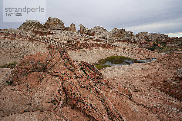 Malerische Aussicht auf Hügel  Gipfel und geschichtete Felsformationen unter einem bewölkten Himmel  die Teil der fremden Landschaft mit erstaunlichen Linien  Konturen und Formen in der wundersamen Gegend namens White Pocket in Arizona sind; Arizona  Vereinigte Staaten von Amerika