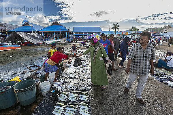 Händler verkaufen frischen Fisch auf dem Fischmarkt in Sorong  der größten Stadt der indonesischen Provinz Südwest-Papua  Indonesien  Südostasien  Asien