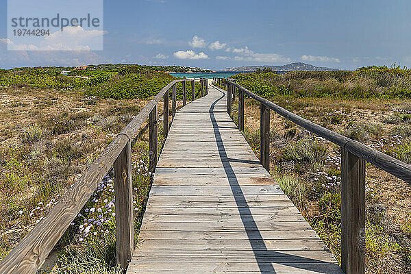 Weg (Promenade) zum Strand von Porto Pollo  Porto Puddu  Gallura  Sardinien  Italien  Mittelmeer  Europa