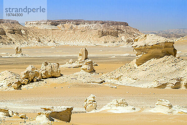 Kalksteinfelsen  Weiße Wüste  Westliche Wüste  Ägypten  Nordafrika  Afrika