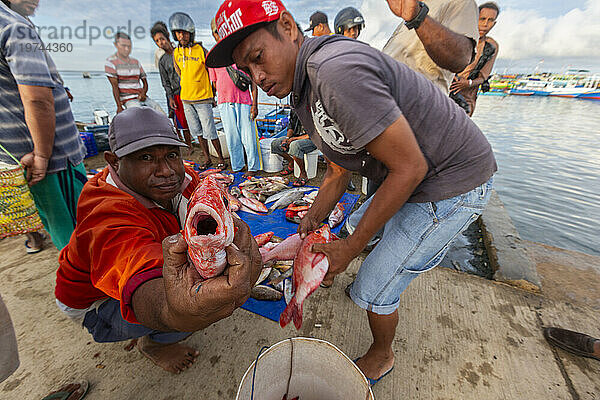 Händler verkaufen frischen Fisch auf dem Fischmarkt in Sorong  der größten Stadt der indonesischen Provinz Südwest-Papua  Indonesien  Südostasien  Asien