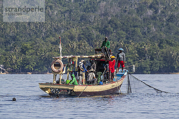 Thunfischfischer holt ein Ringwadennetz  Insel Bangka  vor der nordöstlichen Spitze von Sulawesi  Indonesien  Südostasien  Asien