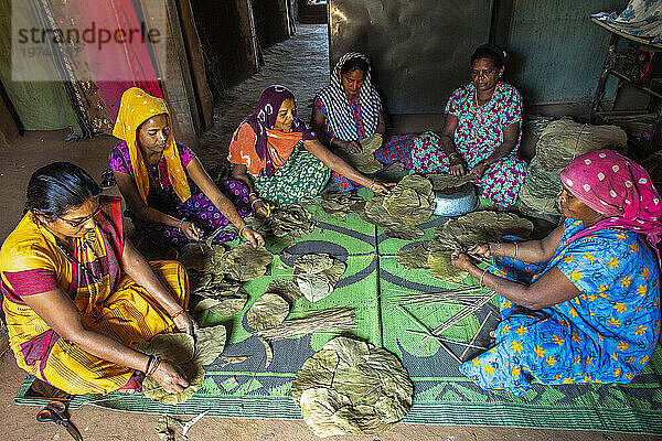 Group of Adivasi women making leaf plates in a village in Narmada district  Gujarat  India  Asia