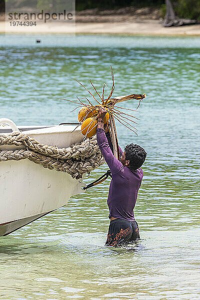 Einheimischer lädt Kokosnüsse in ein Boot in Batu Hatrim  Raja Ampat  Indonesien  Südostasien  Asien