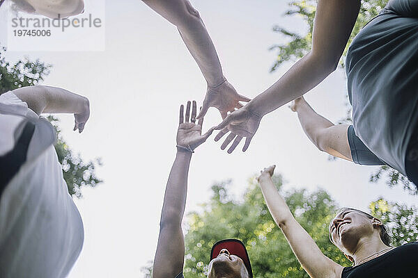 Fröhliche männliche und weibliche Freunde mit erhobener Hand im Park