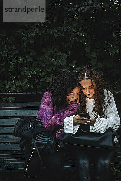 Neugierige Freundinnen teilen ihr Smartphone  während sie auf einer Bank in der Nähe von Pflanzen sitzen