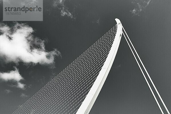 Weiße Schrägseilbrücke in Form einer Harfe  Pont de L'Assut de l'Or  moderne Architektur  Architekt Santiago Calatrava  Pylon  Detail  monochrom  Ciudad de las Artes y de las Ciencias  Stadt der Künste  Valencia  Spanien  Europa