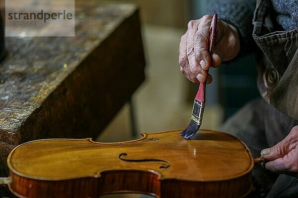 Senior Experte Geigenbauer Geigenbauer  faltige alte Hand halten überprüfen Lack der klassischen handgefertigten Geige Farbe natürlichen Inhaltsstoff Rezept in Cremona Italien Heimat der besten Handwerker dieser Art  Makro Nahaufnahme  selektiven Fokus  Bokeh