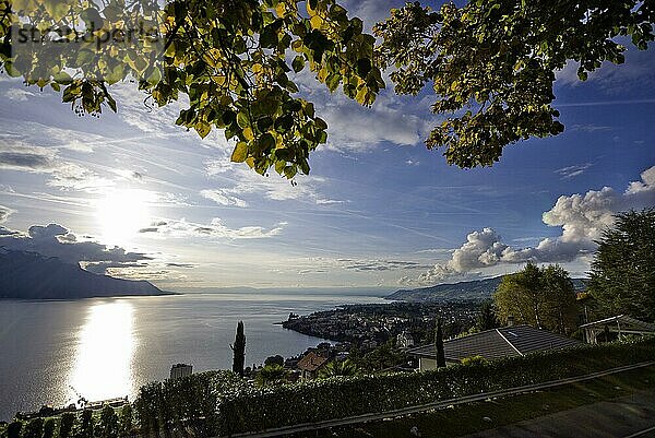 Montreux mit dem Genfer See  Alpen  Gegenlicht  Waadt  Schweiz  Europa