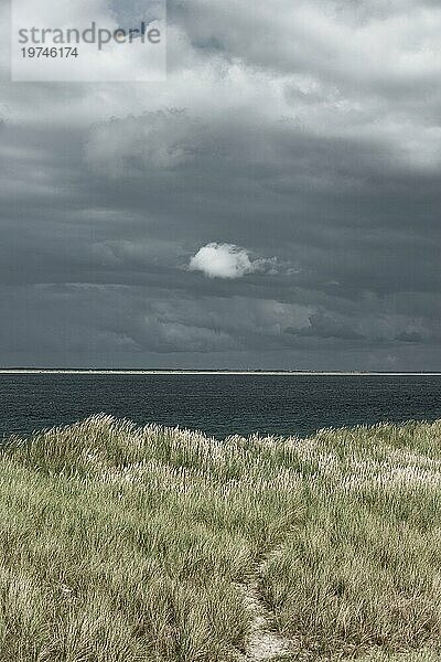Karge Dünenlandschaft  Wetter  Wolke  düster  Stimmung am Ellenbogen  Nordsee  Nordseeinsel Sylt  Ostfriesland  Deutschland  Europa