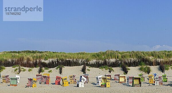 Panorama mit Strandkörben  Strandkorb  bunt  Sommer  Sommertag  Urlaub am Strand der Nordseeinsel Langeoog  Deutschland  Europa