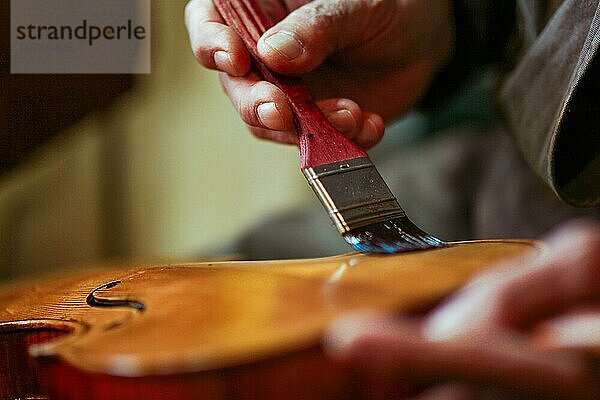 Senior Experte Geigenbauer Geigenbauer faltige Hand halten Pinsel  Lack klassische handgefertigte Geige malen natürlichen Inhaltsstoffen Rezept in Cremona Italien Heimat der besten Handwerker dieser Art  selektiver Fokus  Bokeh
