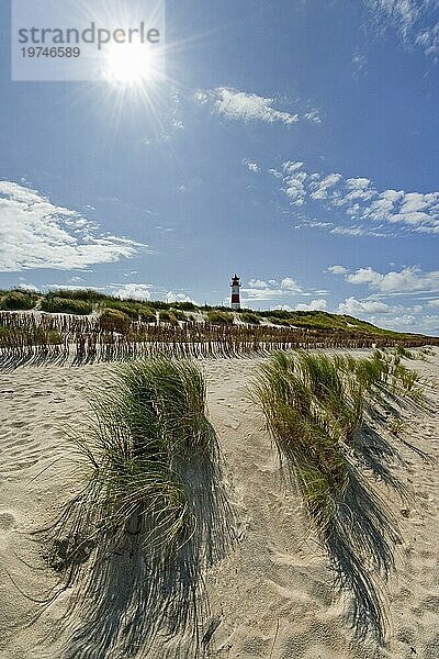 Leuchtturm mit blauem Himmel  Sonne  Gegenlicht am Ellenbogen  Nordsee  Nordseeinsel  Insel  Sylt  Deutschland  Europa