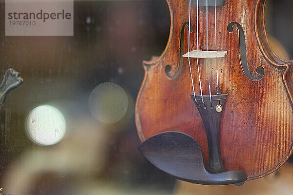 Geigenbauwerkstatt in Cremona  fertiggestellte handgefertigte klassische Geigen und Details  zum Verkauf in der Auslage aufgehängt  selektiver Fokus  Bokeh