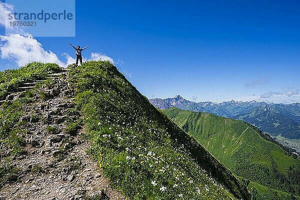 Wanderweg vom Fellhorn  2038m  zum Söllereck  Allgäuer Alpen  Bayern  Deutschland  Europa