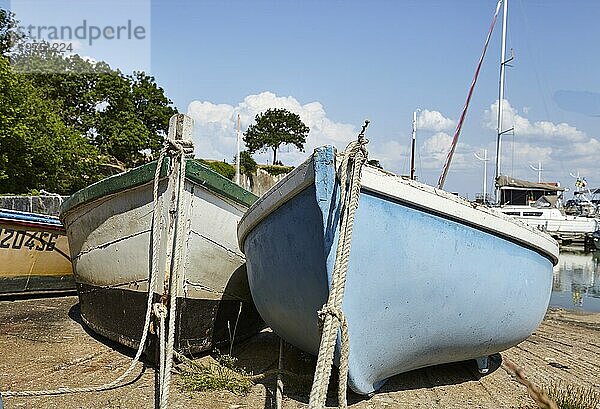 Fischerboote aus der Froschperspektive im Hafen von Le Château-d'Oléron  Île d´Oléron  Charente-Maritime  Nouvelle-Aquitaine  Frankreich  Europa
