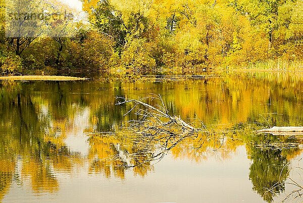 Schöner See im Herbst in der Ukraine