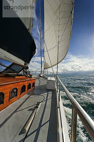 Segeln  Segelschiff in der Abendsonne  Gegenlicht  Himmel  schönes Wetter  Atmosphäre  Reise  Urlaub  Meer  Traumurlaub  Traumreise