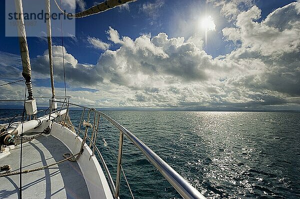 Segeln  Segelschiff in der Abendsonne  Gegenlicht  Himmel  schönes Wetter  Atmosphäre  Reise  Urlaub  Meer  Traumurlaub  Traumreise