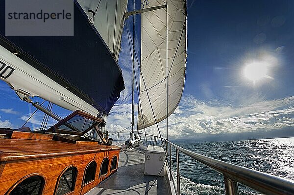 Segeln  Segelschiff in der Abendsonne  Gegenlicht  Himmel  schönes Wetter  Atmosphäre  Reise  Urlaub  Meer  Traumurlaub  Traumreise