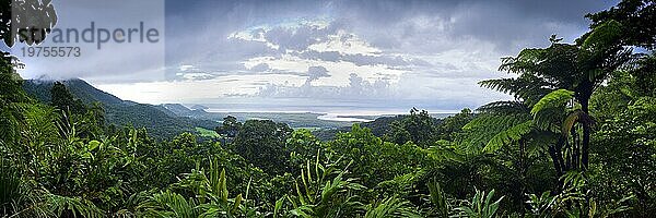 Panorama  Übersicht  Regenwald  Urwald  Tropenwald  Tropen  Regen  Natur  Landschaft  Daintree Nationalpark  Queensland  Australien  Ozeanien
