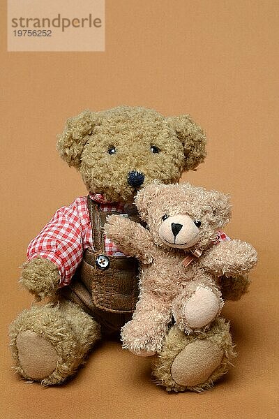 Zwei Teddybären  sitzend  vor braunem Hintergrund  Teddy