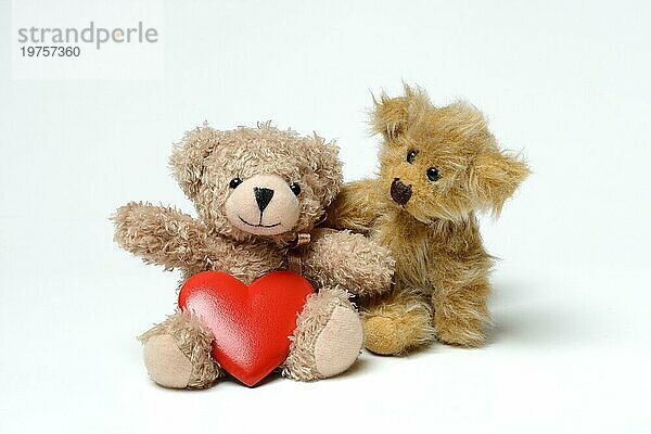 Zwei Teddybären und rotes Herz  Teddy