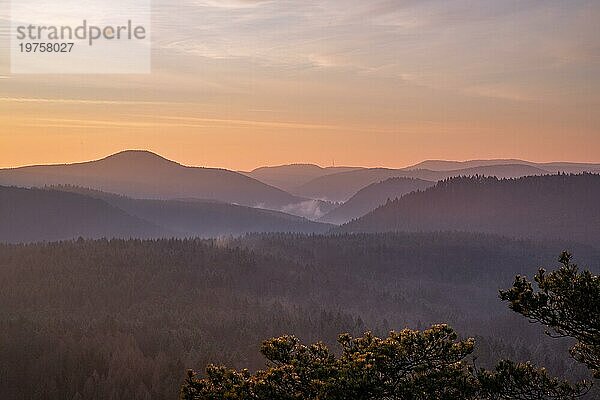 Landschaftsaufnahme bei Sonnenaufgang  kalte Winterlandschaft von einem Sandsteinfelsen mitten im Wald. Natur pur am Morgen vom Aussichtspunkt  dem Schlüsselfelsen im Pfälzerwald  Deutschland  Europa