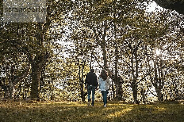 Rückansicht eines Paares  das sich an den Händen hält und im Wald spazieren geht