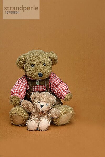 Zwei Teddybären  sitzend  vor braunem Hintergrund  Teddy